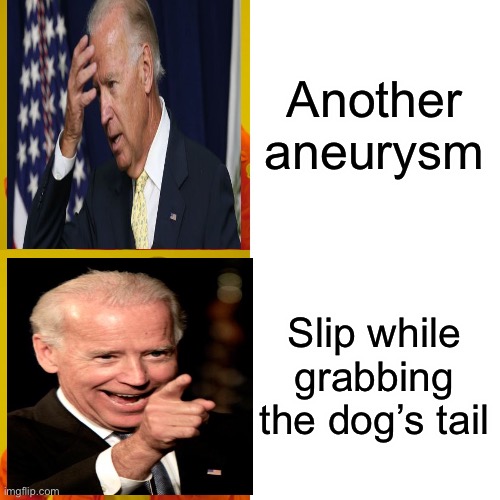 Drake Hotline Bling | Another aneurysm; Slip while grabbing the dog’s tail | image tagged in memes,drake hotline bling,joe biden | made w/ Imgflip meme maker