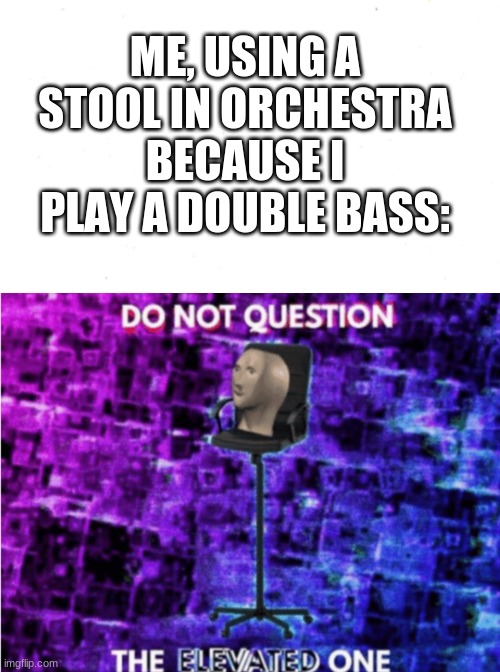 sorry for bad meme | ME, USING A STOOL IN ORCHESTRA BECAUSE I PLAY A DOUBLE BASS: | image tagged in blank white,do not question the elevated one,orchestra,bass | made w/ Imgflip meme maker