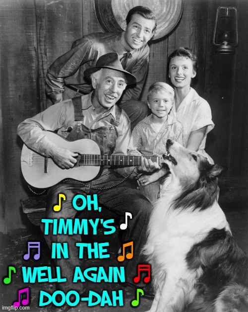 ...and, now, for one of Lassie's favorites | ♪ OH, TIMMY'S
♬ IN THE ♫
♪ WELL AGAIN ♬
♫ DOO-DAH ♪; ♪; ♪; ♬; ♫; ♬; ♪; ♪; ♫ | image tagged in vince vance,lassie,timmy,memes,collie,dogs | made w/ Imgflip meme maker