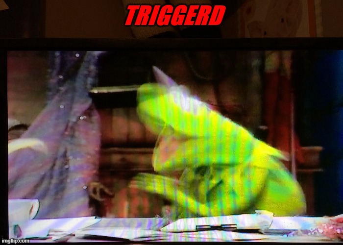 Triggered kermit | TRIGGERD | image tagged in triggered kermit | made w/ Imgflip meme maker