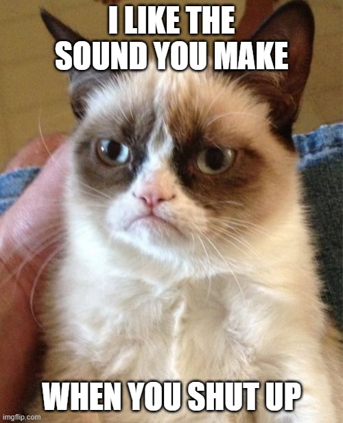 Grumpy Cat Meme | I LIKE THE SOUND YOU MAKE; WHEN YOU SHUT UP | image tagged in memes,grumpy cat | made w/ Imgflip meme maker