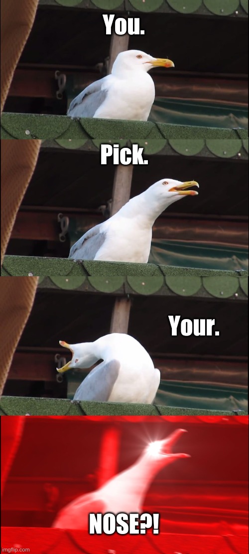 Inhaling Seagull Meme | You. Pick. Your. NOSE?! | image tagged in memes,inhaling seagull | made w/ Imgflip meme maker