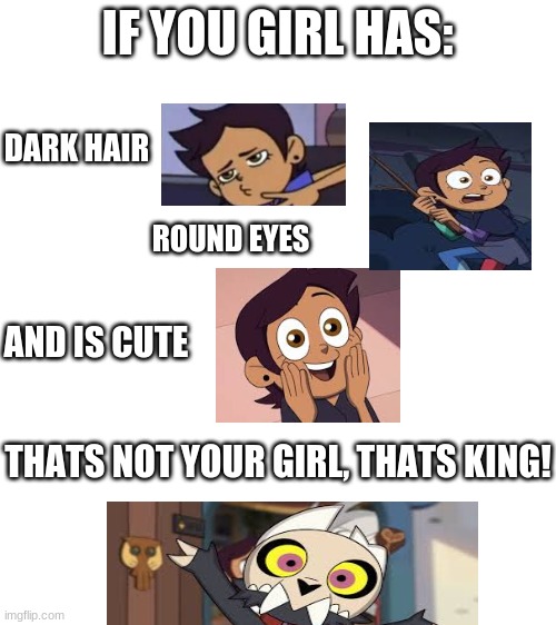 Blank White Template | IF YOU GIRL HAS:; DARK HAIR; ROUND EYES; AND IS CUTE; THATS NOT YOUR GIRL, THATS KING! | image tagged in blank white template,theowlhousememes | made w/ Imgflip meme maker