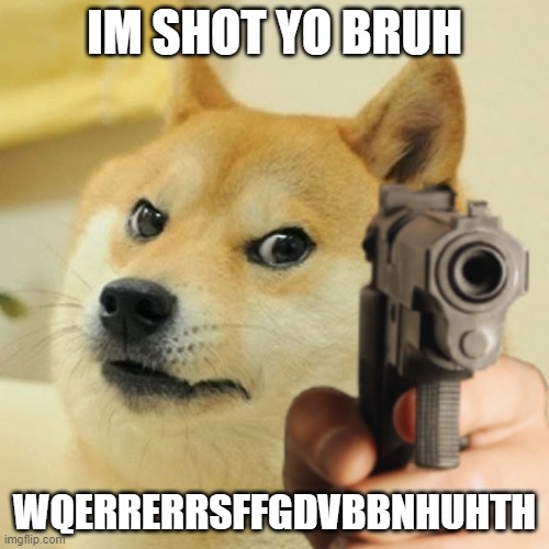 Doge holding a gun | IM SHOT YO BRUH; WQERRERRSFFGDVBBNHUHTH | image tagged in doge holding a gun | made w/ Imgflip meme maker
