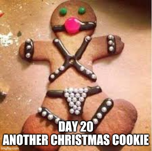 Day 20 Kinky Christmas Cookie Imgflip