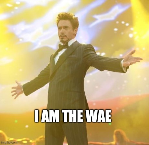 Robert Downey Jr Iron Man | I AM THE WAE | image tagged in robert downey jr iron man | made w/ Imgflip meme maker