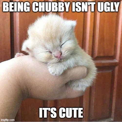 BEING CHUBBY ISN'T UGLY; IT'S CUTE | image tagged in cute,awsome,cats,chubby,fat lives matter | made w/ Imgflip meme maker