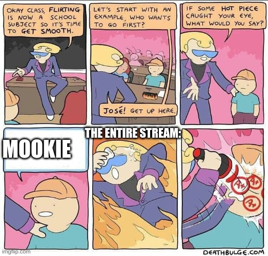 Flirting class | THE ENTIRE STREAM:; MOOKIE | image tagged in flirting class | made w/ Imgflip meme maker