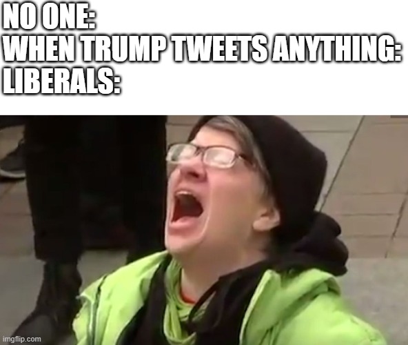 Screaming Liberal  | NO ONE:
WHEN TRUMP TWEETS ANYTHING:
LIBERALS: | image tagged in screaming liberal | made w/ Imgflip meme maker