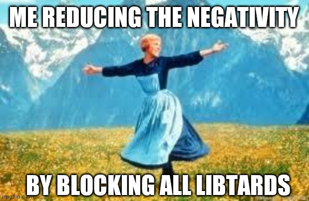 Look At All These | ME REDUCING THE NEGATIVITY; BY BLOCKING ALL LIBTARDS | image tagged in memes,look at all these | made w/ Imgflip meme maker