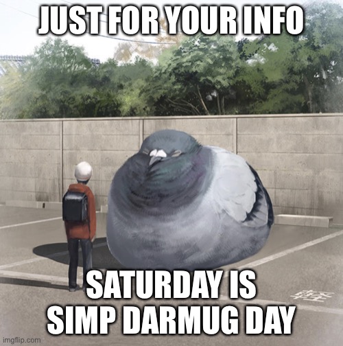 Beeg Birb | JUST FOR YOUR INFO; SATURDAY IS SIMP DARMUG DAY | image tagged in beeg birb | made w/ Imgflip meme maker