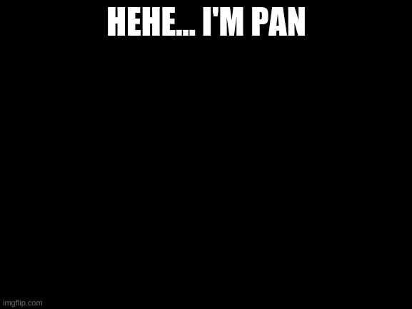 and new | HEHE... I'M PAN | image tagged in blank white template | made w/ Imgflip meme maker