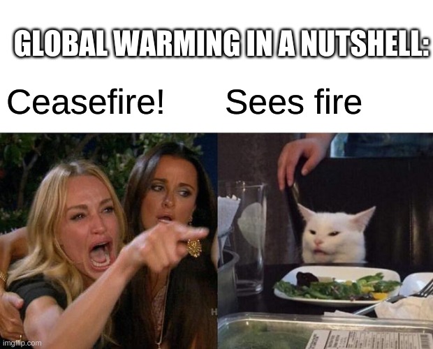 I only ceasefire when i run out of bullets | GLOBAL WARMING IN A NUTSHELL:; Ceasefire! Sees fire | image tagged in memes,woman yelling at cat,global warming,ceasefire | made w/ Imgflip meme maker