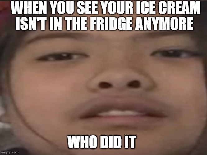 Ice Cream Thief | WHEN YOU SEE YOUR ICE CREAM ISN'T IN THE FRIDGE ANYMORE; WHO DID IT | image tagged in ice cream,sophia,thief,dissapointed,meme | made w/ Imgflip meme maker