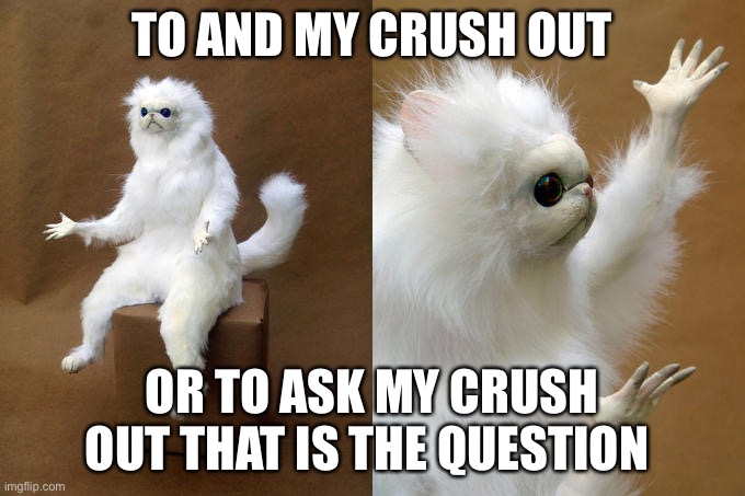 Lol do I? |  TO AND MY CRUSH OUT; OR TO ASK MY CRUSH OUT THAT IS THE QUESTION | image tagged in memes,persian cat room guardian | made w/ Imgflip meme maker