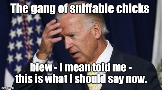 Joe Biden worries | The gang of sniffable chicks blew - I mean told me - this is what I should say now. | image tagged in joe biden worries | made w/ Imgflip meme maker