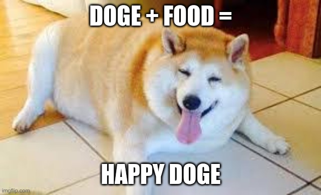 Thicc Doggo | DOGE + FOOD =; HAPPY DOGE | image tagged in thicc doggo | made w/ Imgflip meme maker