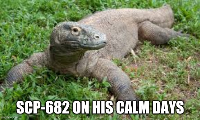 SCP-682 ON HIS CALM DAYS | image tagged in scp-682,scp,killer lizard | made w/ Imgflip meme maker
