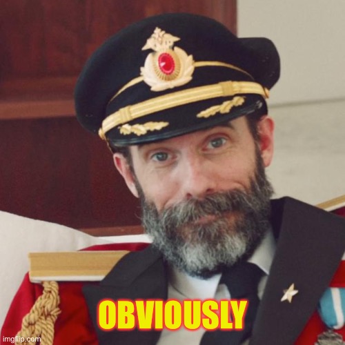 Captain Obvious | OBVIOUSLY | image tagged in captain obvious | made w/ Imgflip meme maker