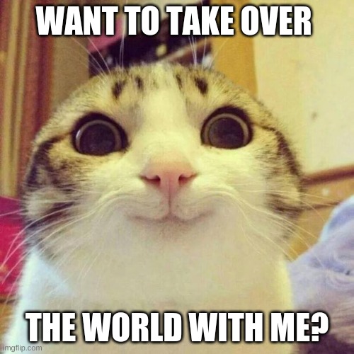 insane cat | WANT TO TAKE OVER; THE WORLD WITH ME? | image tagged in memes,smiling cat | made w/ Imgflip meme maker