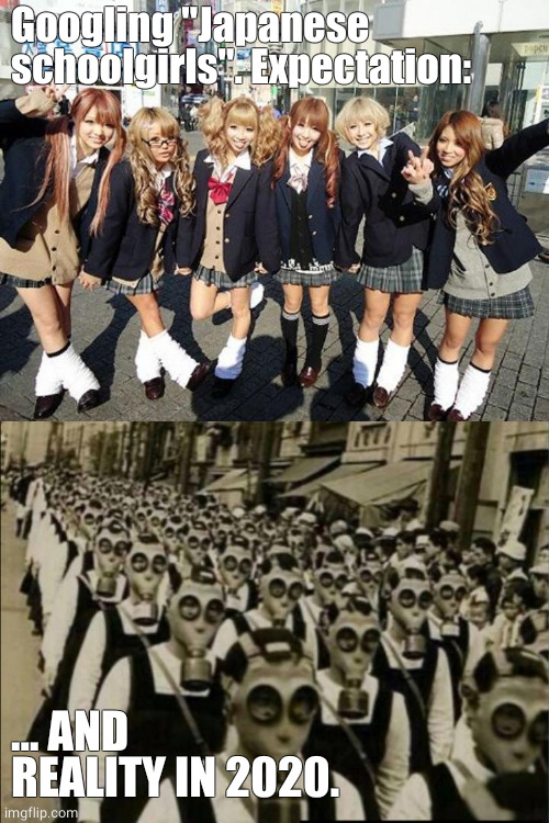 Japanese schoolgirls expectation vs reality | Googling "Japanese schoolgirls". Expectation:; ... AND REALITY IN 2020. | image tagged in expectation vs reality,schoolgirl | made w/ Imgflip meme maker