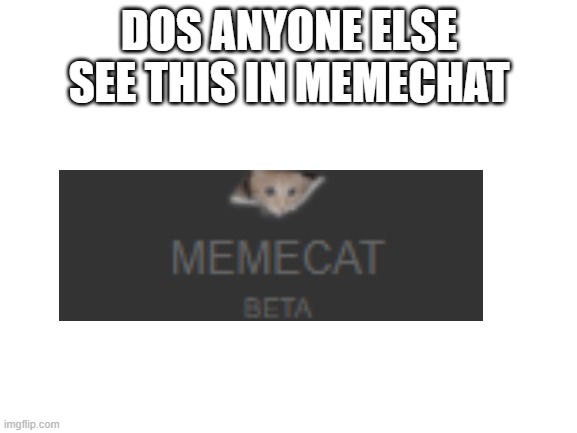 Blank White Template | DOS ANYONE ELSE SEE THIS IN MEMECHAT | image tagged in blank white template | made w/ Imgflip meme maker
