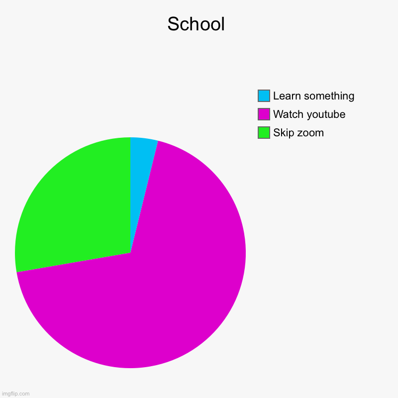 True | School | Skip zoom, Watch youtube, Learn something | image tagged in charts,pie charts | made w/ Imgflip chart maker