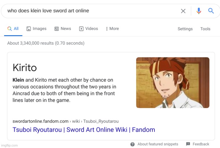 klein is gay | image tagged in klein,sword art online,anime | made w/ Imgflip meme maker