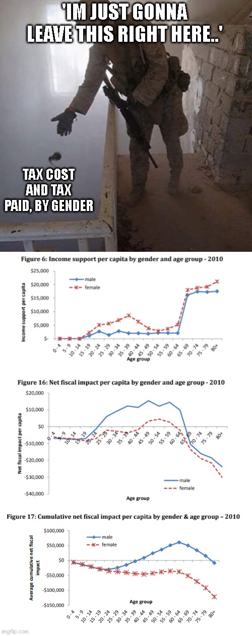 Government funds used and taxes paid by gender in my nation... kthanxbai | 'IM JUST GONNA LEAVE THIS RIGHT HERE..'; TAX COST AND TAX PAID, BY GENDER | image tagged in grenade drop | made w/ Imgflip meme maker