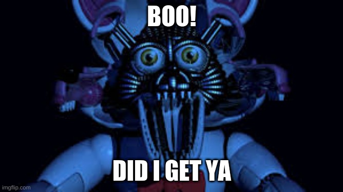 not funny | BOO! DID I GET YA | image tagged in funtime foxy jumpscare fnaf sister location | made w/ Imgflip meme maker