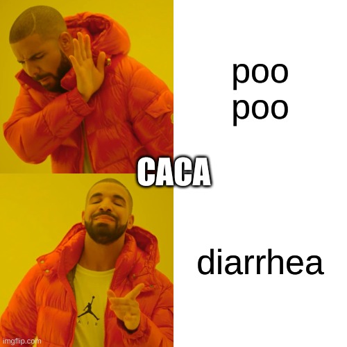 Drake Hotline Bling | poo poo; CACA; diarrhea | image tagged in memes,drake hotline bling | made w/ Imgflip meme maker