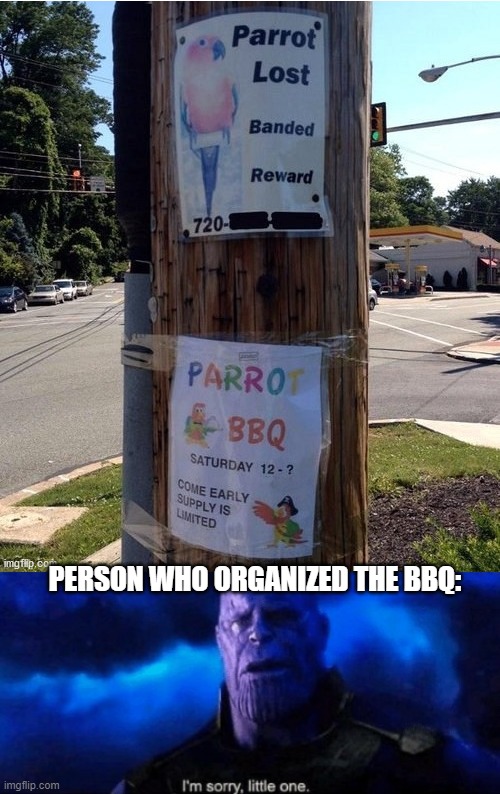 PERSON WHO ORGANIZED THE BBQ: | image tagged in im sorry little one,memes,funny | made w/ Imgflip meme maker
