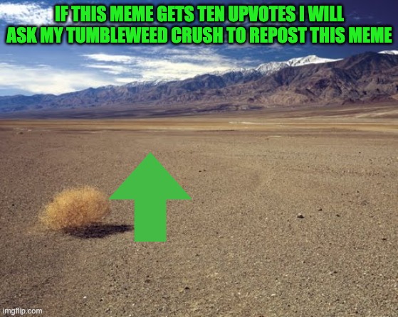 desert tumbleweed | IF THIS MEME GETS TEN UPVOTES I WILL ASK MY TUMBLEWEED CRUSH TO REPOST THIS MEME | image tagged in desert tumbleweed | made w/ Imgflip meme maker