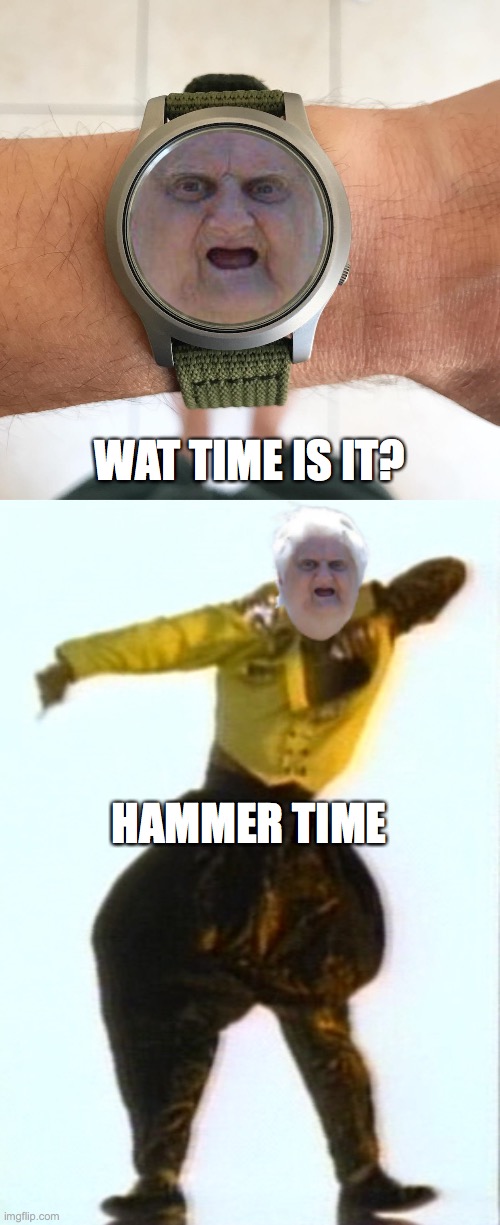 WAT TIME IS IT? HAMMER TIME | WAT TIME IS IT? HAMMER TIME | image tagged in wat lady,mc hammer,hammer time,funny memes,funny,best memes | made w/ Imgflip meme maker