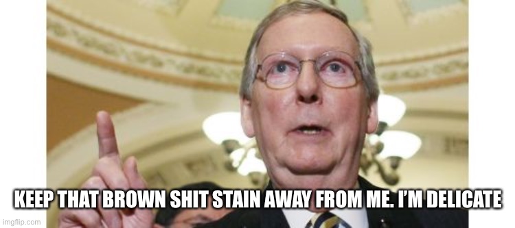 Mitch McConnell Meme | KEEP THAT BROWN SHIT STAIN AWAY FROM ME. I’M DELICATE | image tagged in memes,mitch mcconnell | made w/ Imgflip meme maker