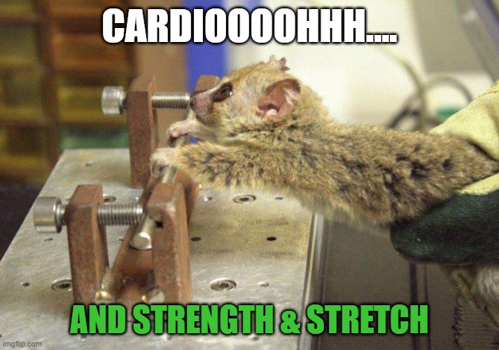 cardo exercise | CARDIOOOOHHH.... AND STRENGTH & STRETCH | image tagged in forced exercise | made w/ Imgflip meme maker