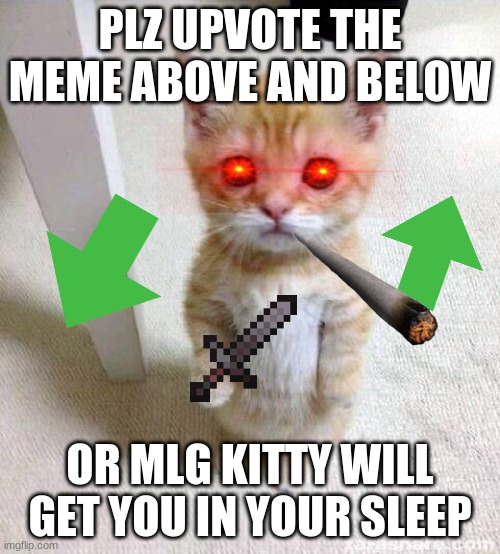 Cute Cat Meme | PLZ UPVOTE THE MEME ABOVE AND BELOW; OR MLG KITTY WILL GET YOU IN YOUR SLEEP | image tagged in memes,cute cat | made w/ Imgflip meme maker