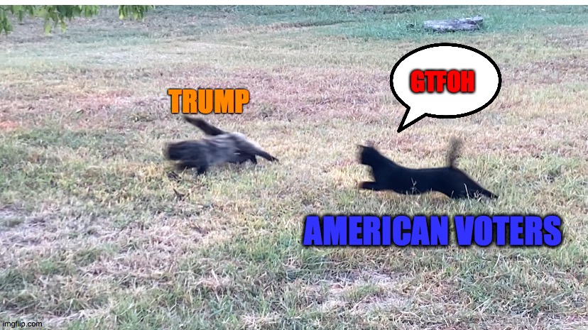 Get Out | GTFOH; TRUMP; AMERICAN VOTERS | image tagged in get,out,biden,trump,2021,loser | made w/ Imgflip meme maker