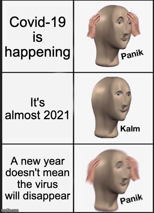 just some sad logic | Covid-19 is happening; It's almost 2021; A new year doesn't mean the virus will disappear | image tagged in memes,panik kalm panik | made w/ Imgflip meme maker