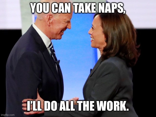 Biden Harris | YOU CAN TAKE NAPS, I’LL DO ALL THE WORK. | image tagged in biden harris | made w/ Imgflip meme maker