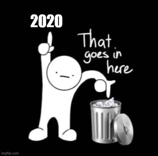 that goes in here | 2020 | image tagged in that goes in here | made w/ Imgflip meme maker