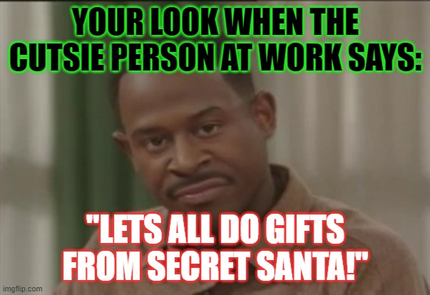 Xmas | YOUR LOOK WHEN THE CUTSIE PERSON AT WORK SAYS:; "LETS ALL DO GIFTS FROM SECRET SANTA!" | image tagged in sick of it | made w/ Imgflip meme maker