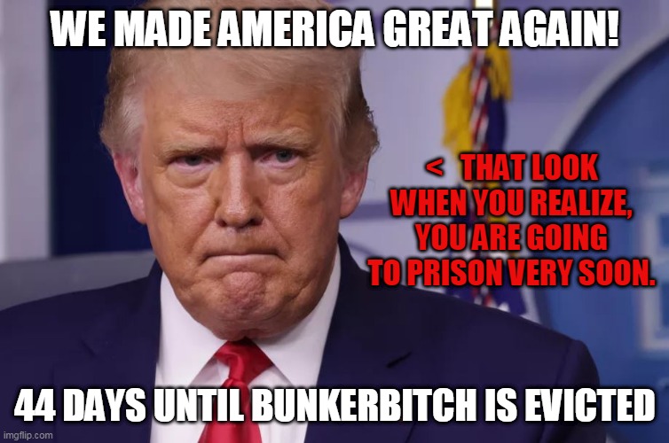 44 days until bunkerbitch is evicted! | WE MADE AMERICA GREAT AGAIN! <   THAT LOOK WHEN YOU REALIZE, YOU ARE GOING TO PRISON VERY SOON. 44 DAYS UNTIL BUNKERBITCH IS EVICTED | image tagged in trumptard | made w/ Imgflip meme maker