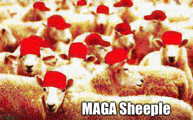 MAGA sheeple deep-fried 1 | MAGA Sheeple | image tagged in maga sheeple deep-fried 1 | made w/ Imgflip meme maker