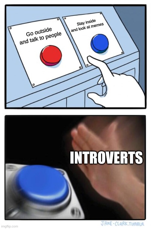 Buttons | Stay inside and look at memes; Go outside and talk to people; INTROVERTS | image tagged in two buttons one blue button redux | made w/ Imgflip meme maker