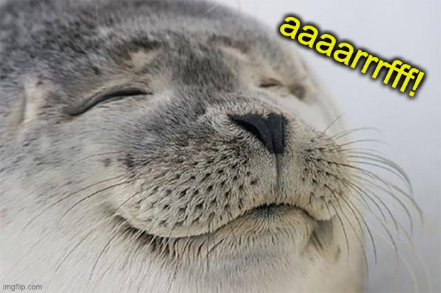 Satisfied Seal Meme | aaaarrrfff! | image tagged in memes,satisfied seal | made w/ Imgflip meme maker