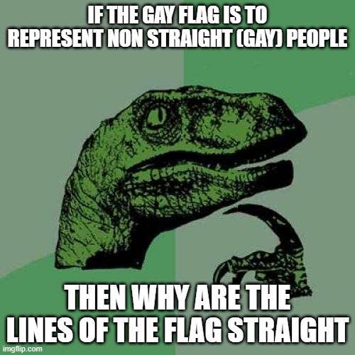 Nobody:High schooler ideas: | IF THE GAY FLAG IS TO REPRESENT NON STRAIGHT (GAY) PEOPLE; THEN WHY ARE THE LINES OF THE FLAG STRAIGHT | image tagged in memes,philosoraptor,gay,funny | made w/ Imgflip meme maker