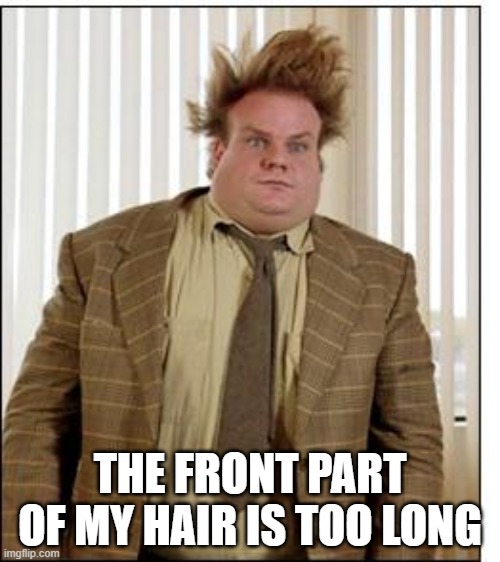 Chris Farley Hair | THE FRONT PART OF MY HAIR IS TOO LONG | image tagged in chris farley hair | made w/ Imgflip meme maker