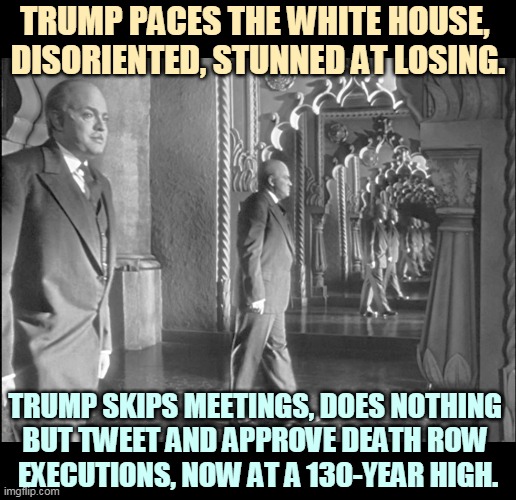 The Old Man has really lost it. Not just the election. He's lost his mind. | TRUMP PACES THE WHITE HOUSE, 
DISORIENTED, STUNNED AT LOSING. TRUMP SKIPS MEETINGS, DOES NOTHING 
BUT TWEET AND APPROVE DEATH ROW 
EXECUTIONS, NOW AT A 130-YEAR HIGH. | image tagged in trump,crazy,looney tunes,nuts,weird,murderer | made w/ Imgflip meme maker