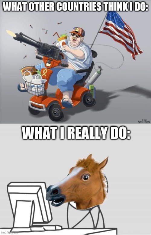 WHAT OTHER COUNTRIES THINK I DO: WHAT I REALLY DO: | image tagged in murica,memes,computer horse | made w/ Imgflip meme maker